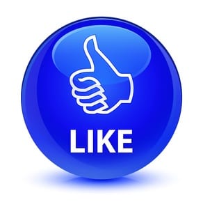 Evenflo SureRide DLX Convertible 