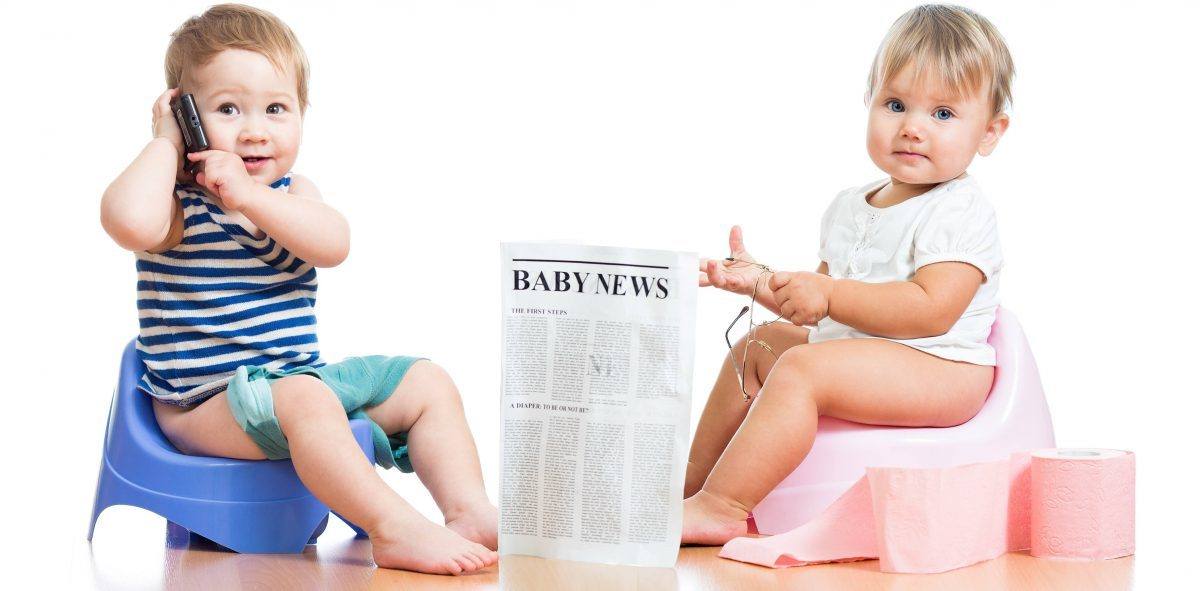 How To Potty Train A Toddler
