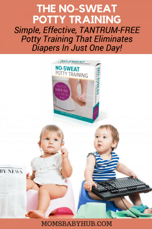 How To Potty Train A Toddler